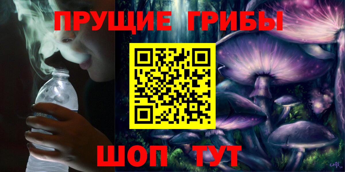 Псилоцибиновые грибы Cubensis  Вход с VPN  Среднеуральск 