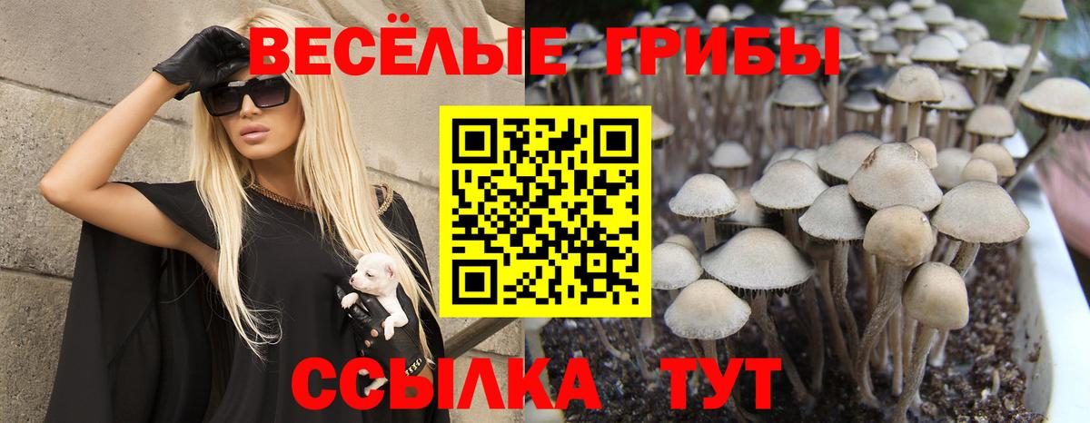 Галлюциногенные грибы Magic Shrooms Среднеуральск